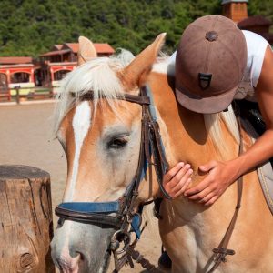 Horse Riding At The Ranch