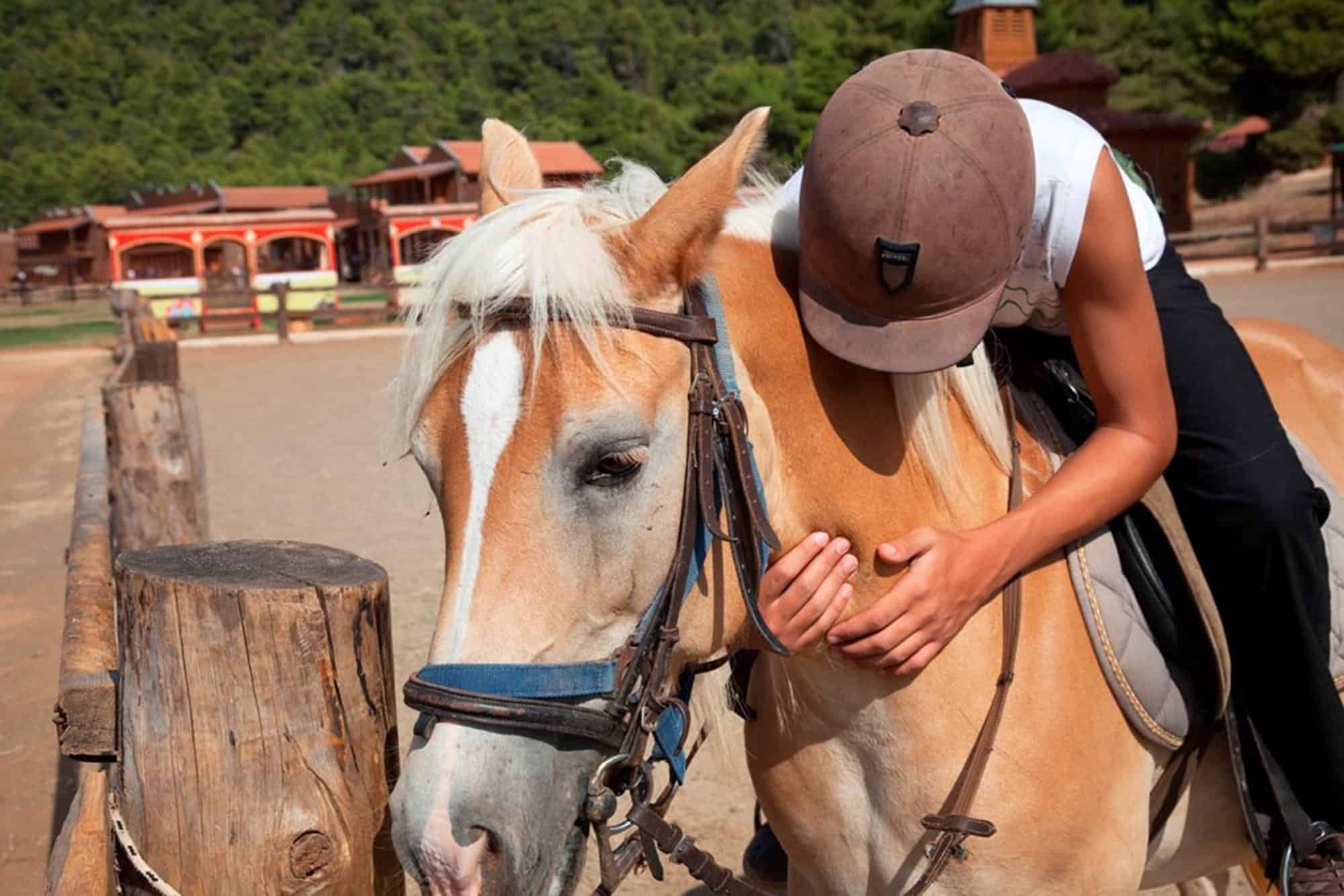 Horse Riding At The Ranch