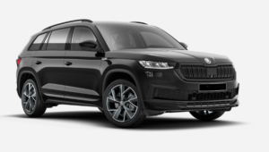 Kodiaq Tours