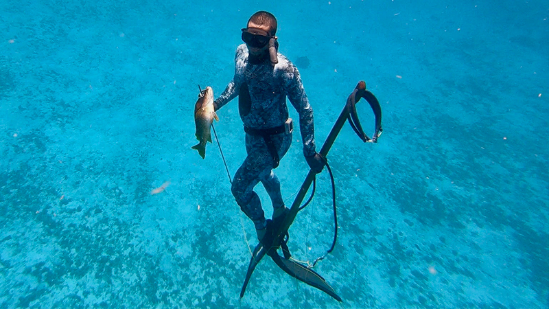 Spearfishing Private Trip From Athens